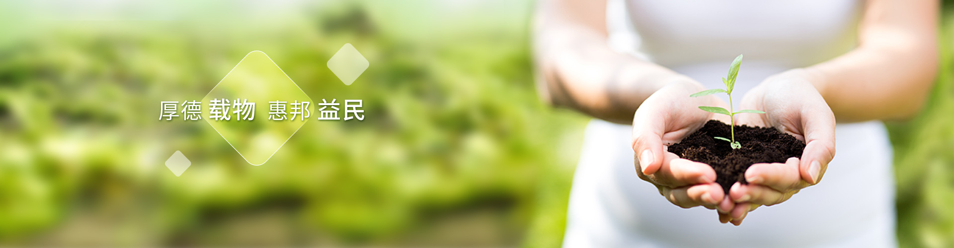 利博官网股份