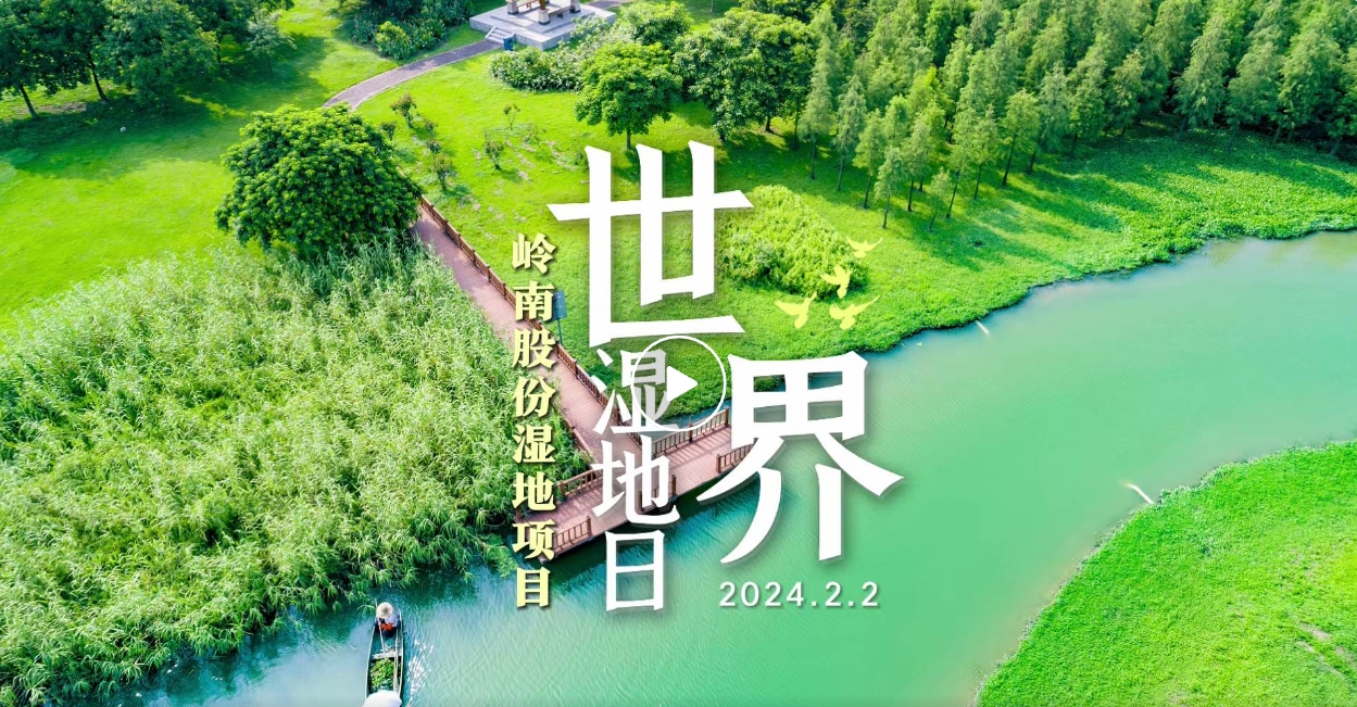 世界湿地日| 利博官网股份带你领略湿地之美