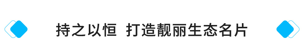 持之以恒，打造靓丽生态名片.jpg